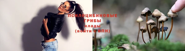 гидра Беломорск