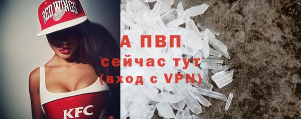 гидропоника Белокуриха