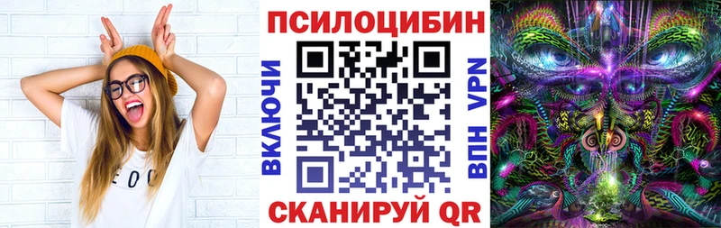 мега рабочий сайт  Красный Холм  Галлюциногенные грибы Psilocybe  где купить наркоту 